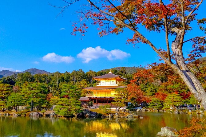 Explore Kyoto | Private Tour - Local English Driver(guide option) - Fushimi Inari-taisha Torii Gates: A Free Highlight That Still Needs Time