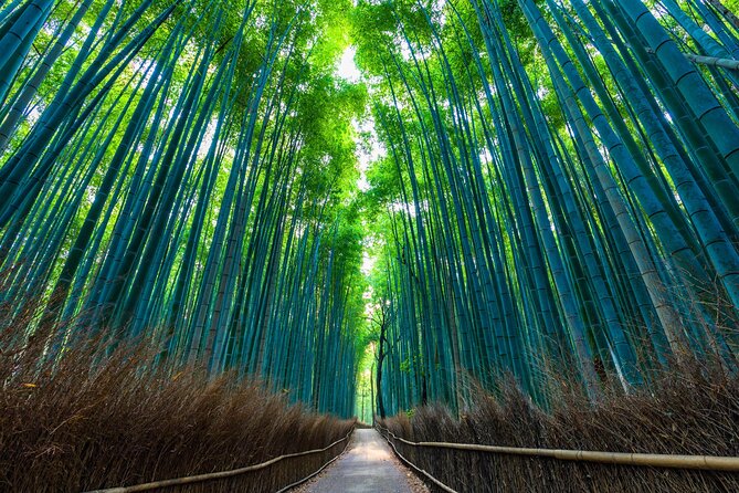 Explore Kyoto | Private Tour - Local English Driver(guide option) - How the Flexibility Really Helps: Adjusting When Plans Change