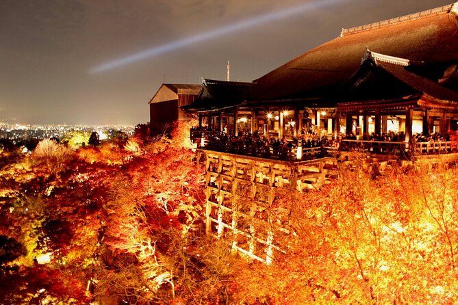 Explore Kyoto | Private Tour - Local English Driver(guide option) - Arashiyama Bamboo Forest: Your First Stop for a Slower Start