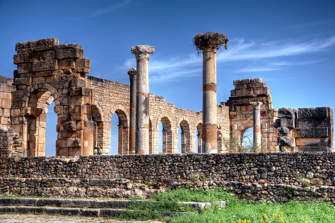Fes to Volubilis, Moulay Idriss and Meknes Private Day Trip - The Driver and Private-Trip Format: Great for Comfort, Not a Full Guided Tour