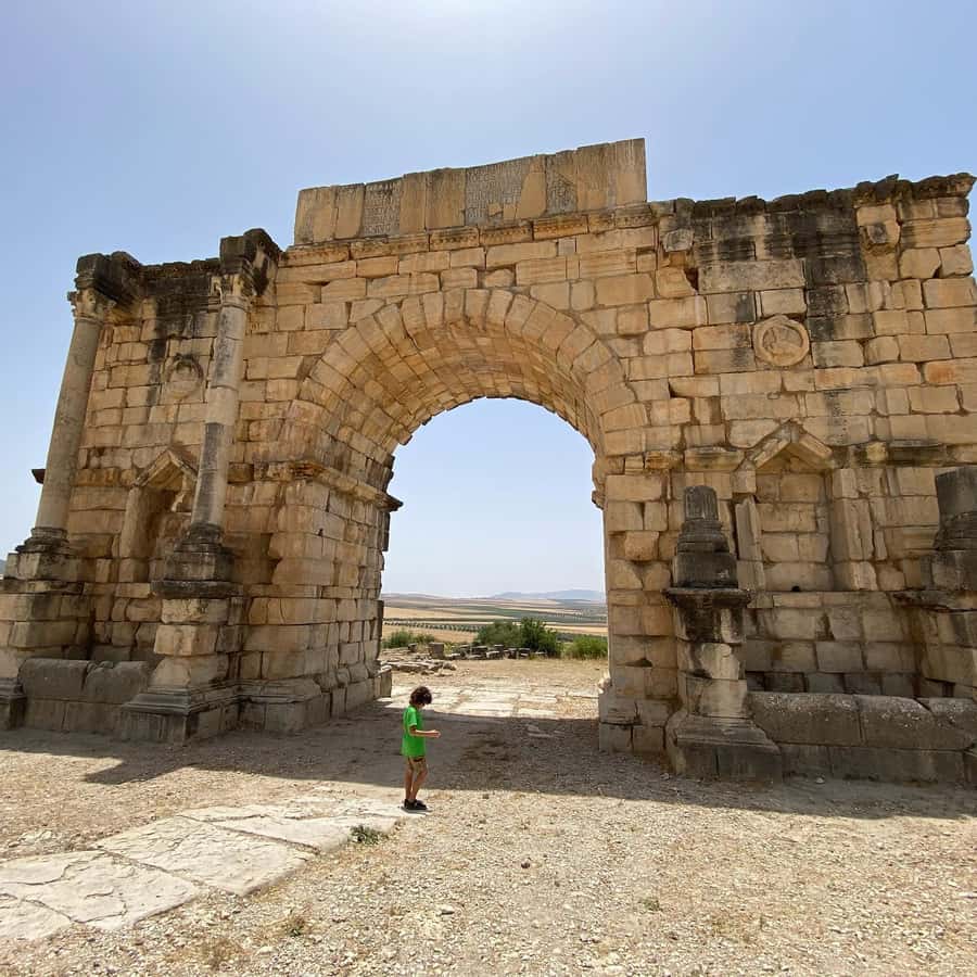 Fes: Volubilis Roman Ruins, Mouly Idriss, & Meknes Day Trip - Price and logistics that actually matter (not just the fine print)