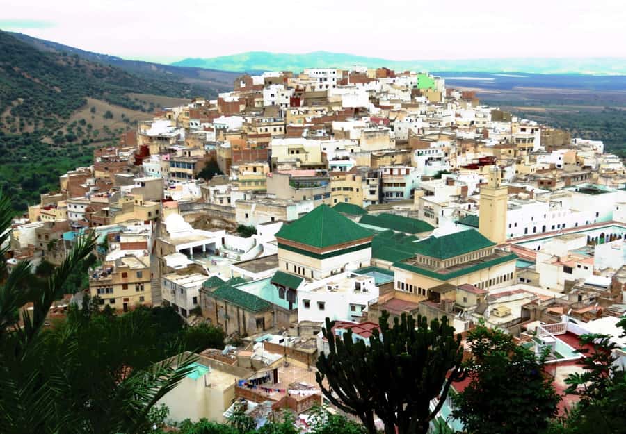 Fes: Volubilis Roman Ruins, Mouly Idriss, & Meknes Day Trip - Volubilis Roman Ruins: the Arch of Caracalla and the walk you’ll remember