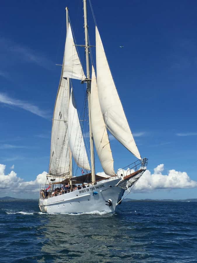 Fiji: Captain Cook Cruises - Island & Reef Day Trip - Captain Cook Cruises Island & Reef Day Trip: Key Highlights
