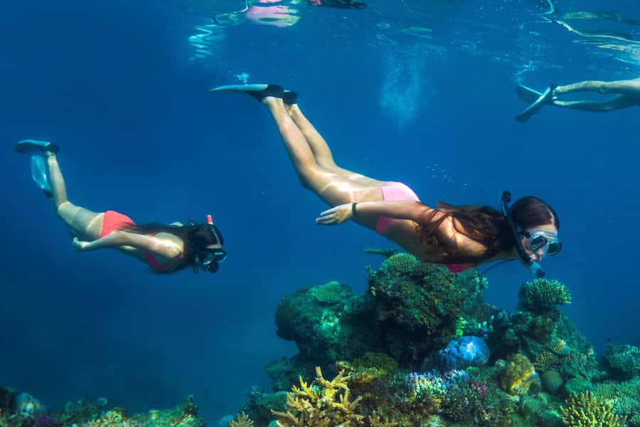 Fiji: Captain Cook Cruises - Island & Reef Day Trip - Price and Value Check for $126