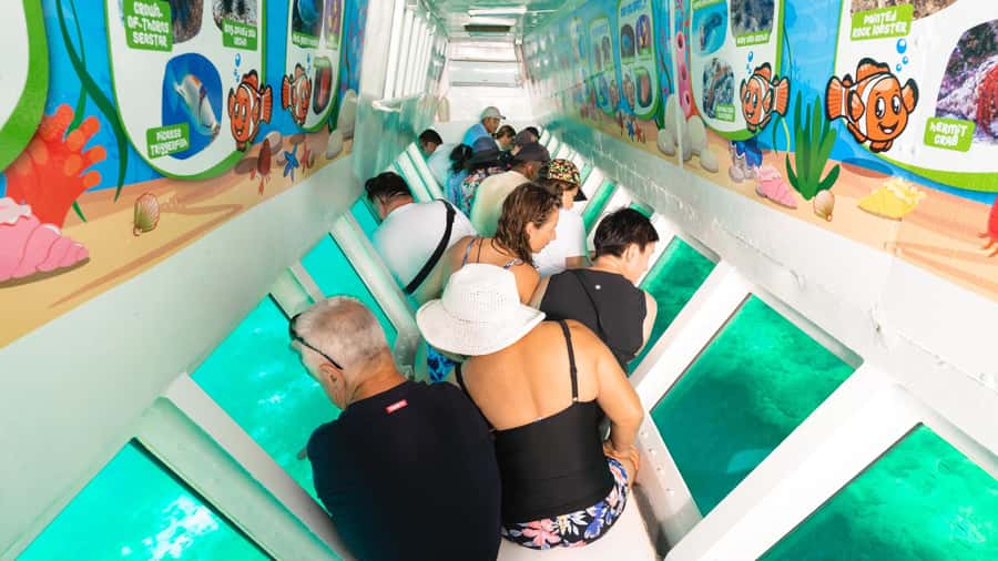 Fiji: South Sea Island Half-Day Trip with Lunch - BBQ lunch, meke performance, and the kind of midday energy Fiji is famous for