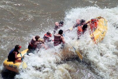 Fisher Towers Half-Day Rafting Day Trip from Moab - The Ride Itself: Fisher Towers Views and River-Edge Wildlife