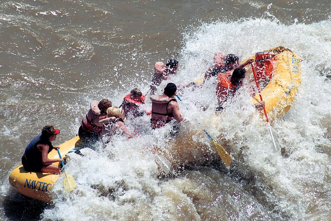 Fisher Towers Half-Day Rafting Day Trip from Moab - The Ride Itself: Fisher Towers Views and River-Edge Wildlife