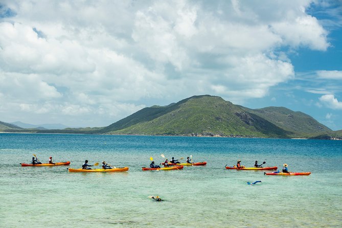 Fitzroy Island Day Tour from Cairns - Food, drinks, and the cost reality