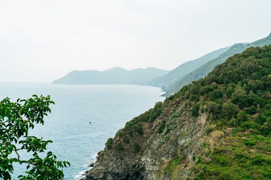 Florence: Cinque Terre Day Trip with Optional Hike - Vernazza: Where the Day Becomes Personal