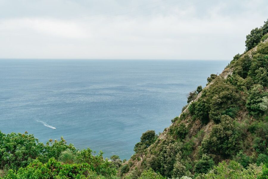 Florence: Cinque Terre Day Trip with Optional Hiking or Pisa - If You Add Pisa: What You Trade Off in Cinque Terre