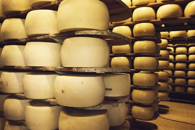 Florence Day Trip: Pisa, San Gimignano and Siena with Lunch - Who This Tour Fits Best