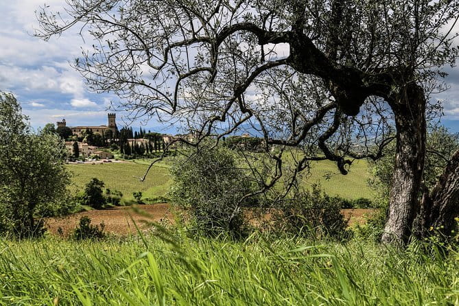 Florence: Day Trip with Free Time in San Gimignano and Siena - The Chianti Bus Ride: Time to Rest Your Feet and Enjoy the Views