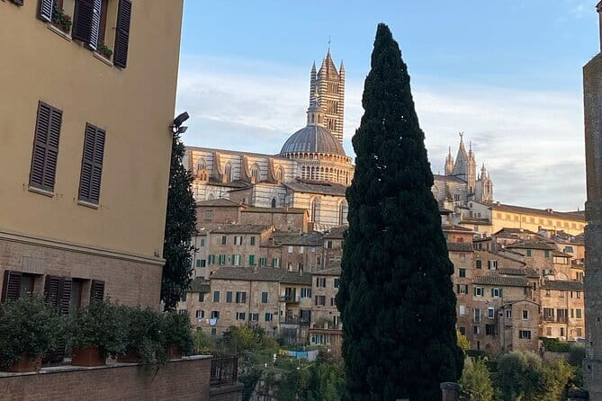 Florence: Day Trip with Free Time in San Gimignano and Siena - Comfort on a 9-Hour Schedule: Wi‑Fi, Chargers, and Bathroom Breaks