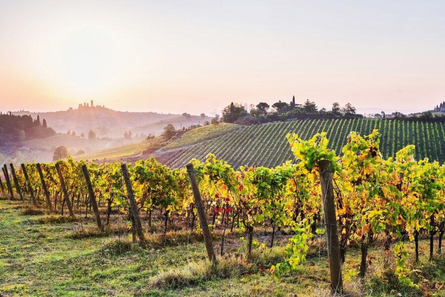 Florence: Siena & San Gimignano Day Trip with Lunch & Wine - Key things to know before you go