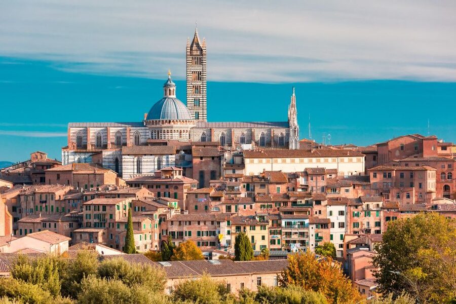 Florence: Siena & San Gimignano Day Trip with Lunch & Wine - The Organic Winery Stop: Lunch, Wine Pairing, and 4 Tastings
