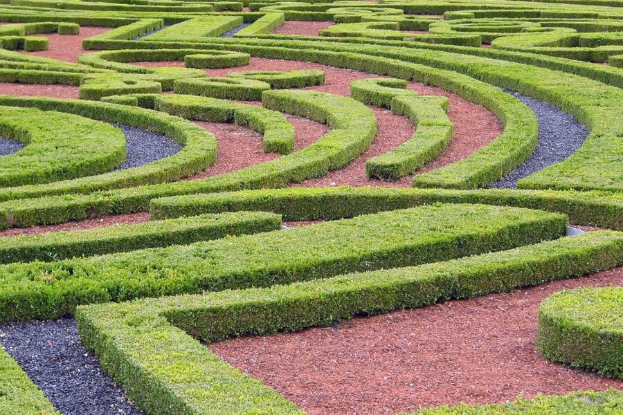 Fontainebleau & Vaux-le-Vicomte Châteaux Day Tour from Paris - Transportation and comfort: coach ride, pickup, and the no-surprises checklist