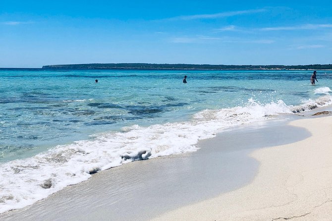Formentera Small-Group Day Trip by Sailboat from Ibiza - Dinghy Landings: The Part That Makes the Stops Feel Real
