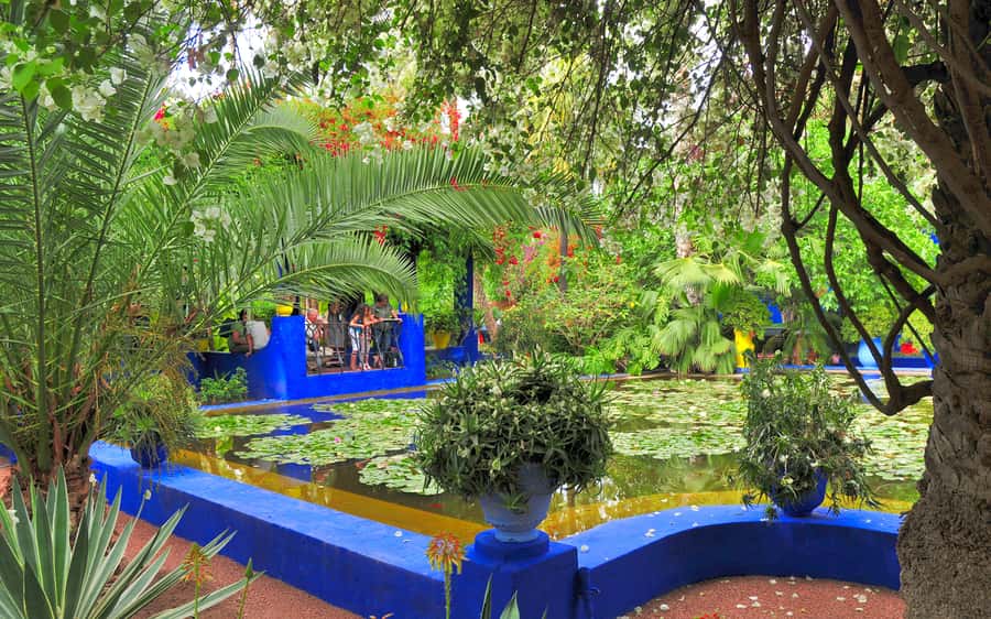From Agadir: Guided Day Trip to Marrakech - Key highlights I’d plan around