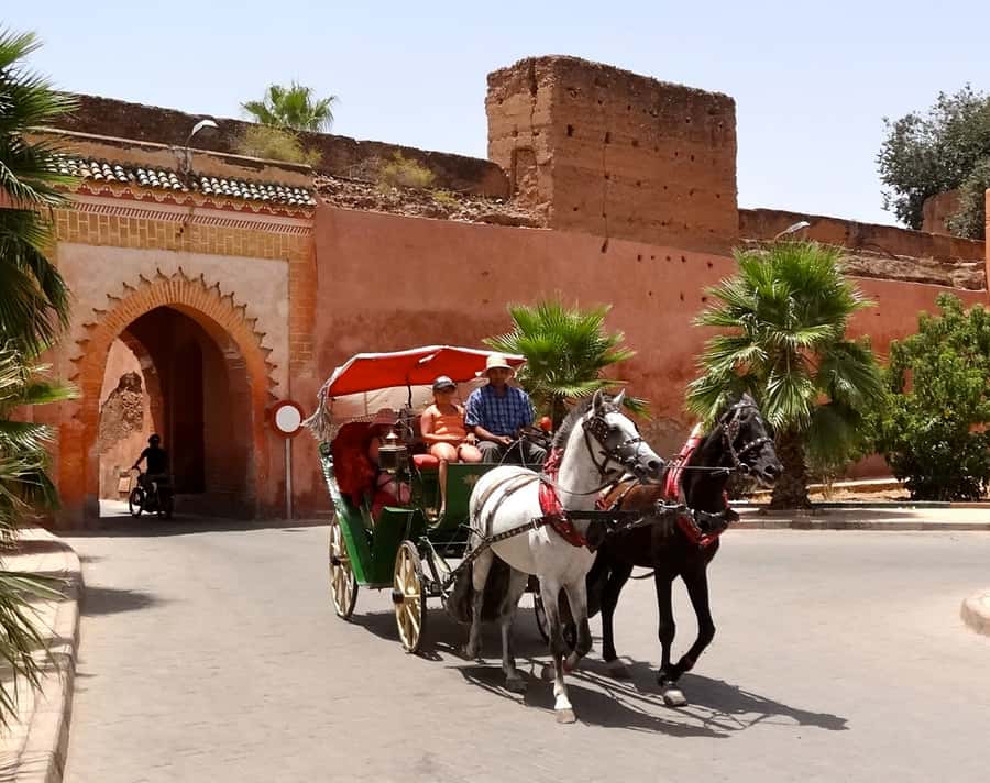 From Agadir: Guided Day Trip to Marrakech - From Agadir to Marrakech: why the timing works