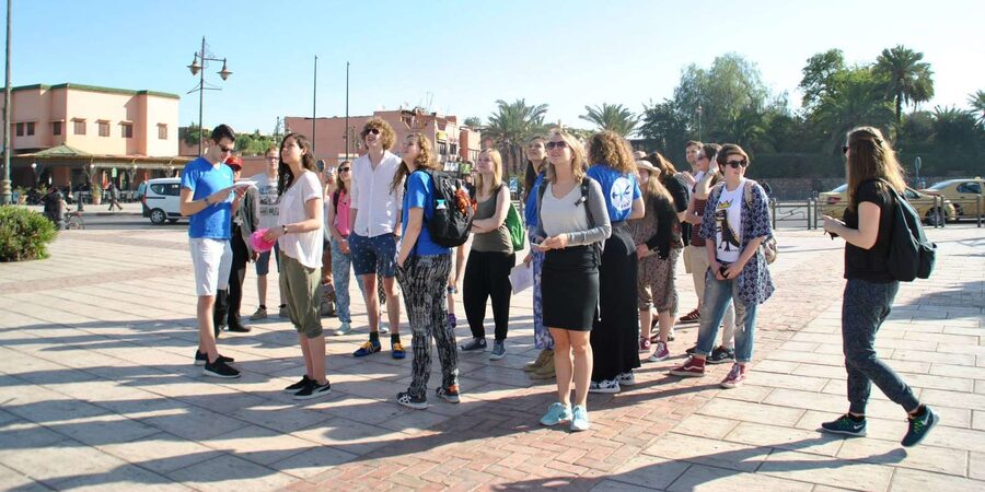 From Agadir: Guided Day Trip to Marrakech - Souks free time: how to shop and not get swept away