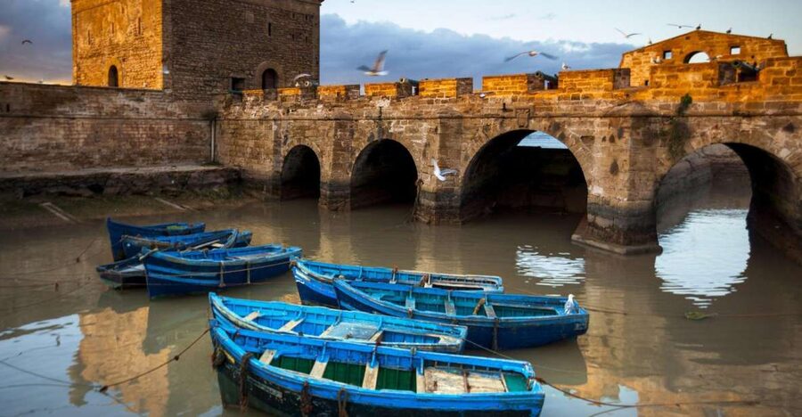 From Agadir or Taghazout: Essaouira Day Trip with Transfer - Key highlights you’ll feel right away
