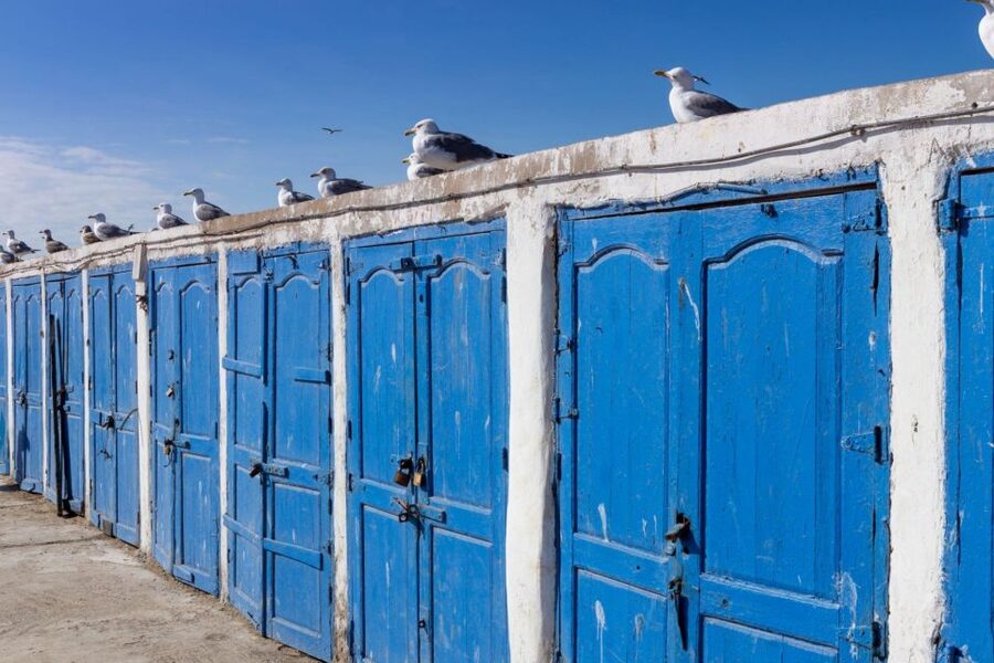 From Agadir or Taghazout: Essaouira Day Trip with Transfer - Who this tour suits best