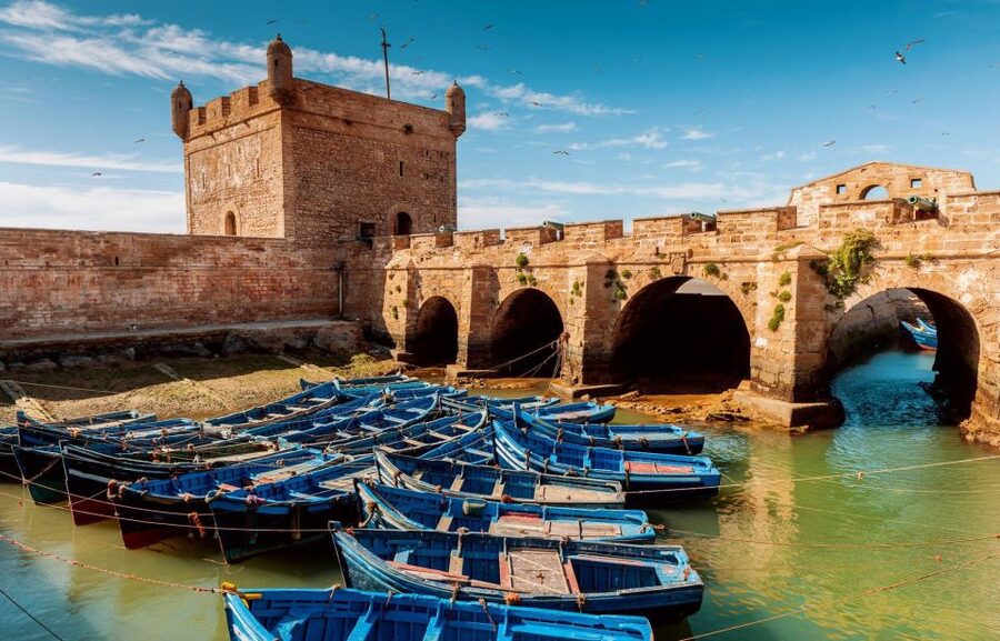 From Agadir or Taghazout: Essaouira Day Trip with Transfer - Bab El Marse port: Sqala cannons and real fishing life