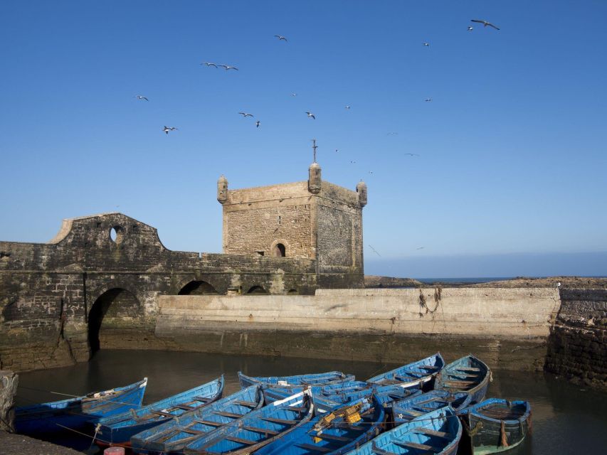 From Agadir or Taghazout: Essaouira Day Trip with Transfer - Free time in the medina alleyways and on the beach