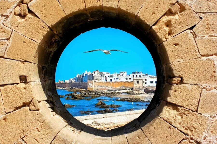 From Agadir or Taghazout: Essaouira Day Trip with Transfer - Price and value: what you get for $41
