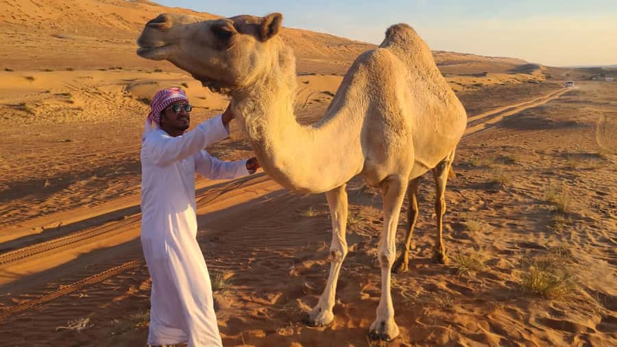 From Agadir: Sahara Desert Day Trip and Camel Ride - Sidi R’bat Beach and the Cliff Caves: Real Fishing Life, Not a Set