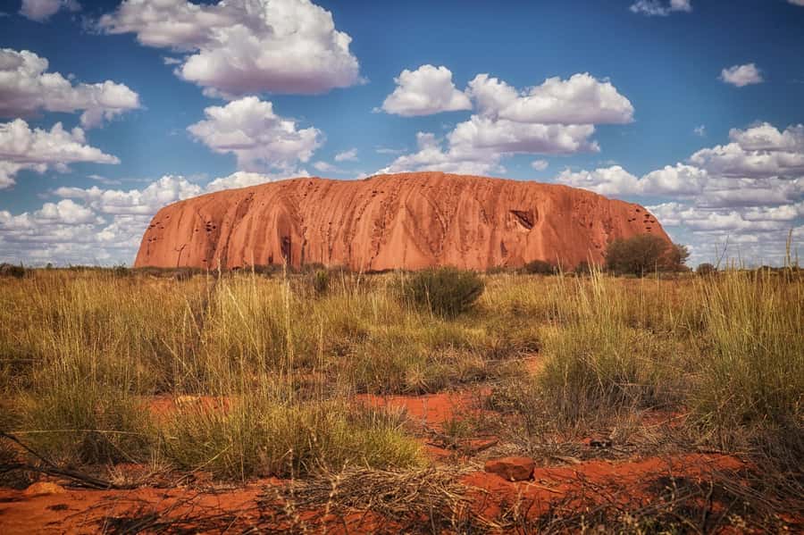 From Alice Springs: Day Trip to Uluru with BBQ Dinner - Pickup, the Long Coach Ride, and Comfort Stops