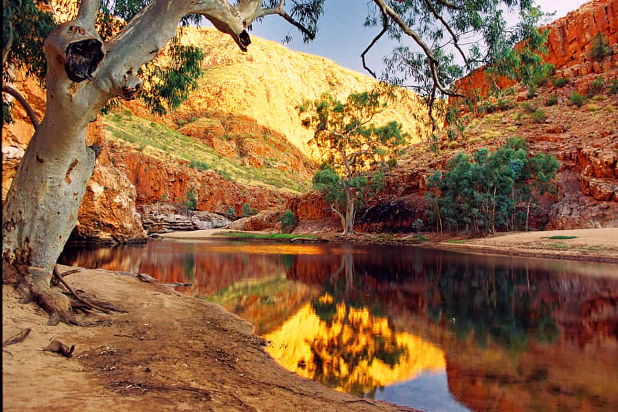 From Alice Springs: West MacDonnell Ranges Day Trip - Key things to know before you go