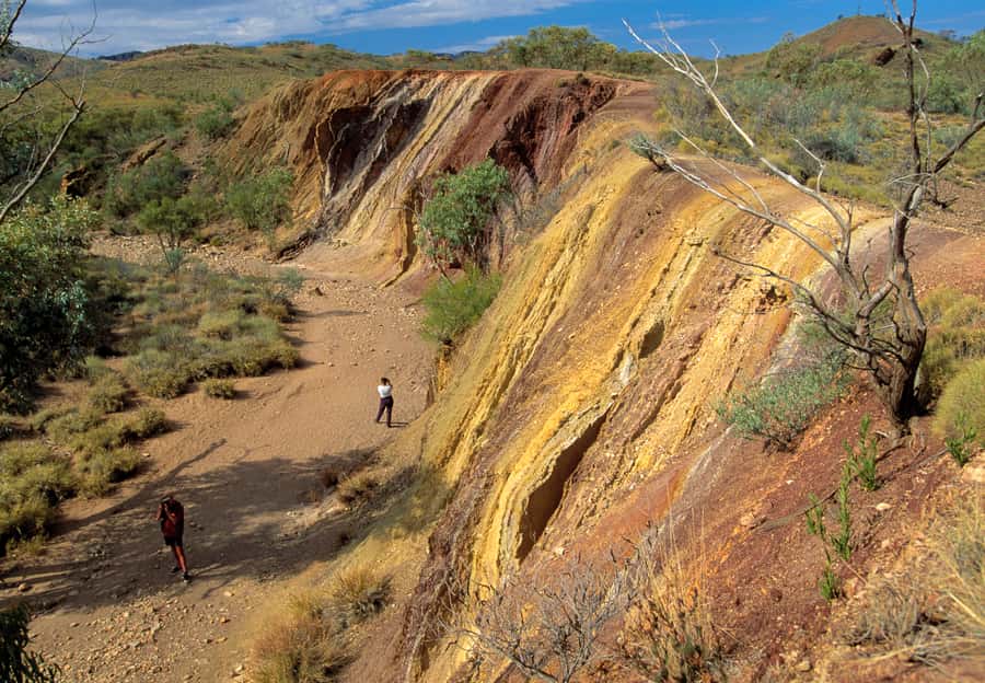 From Alice Springs: West MacDonnell Ranges Day Trip - Simpsons Gap: the quick walk that sets the tone