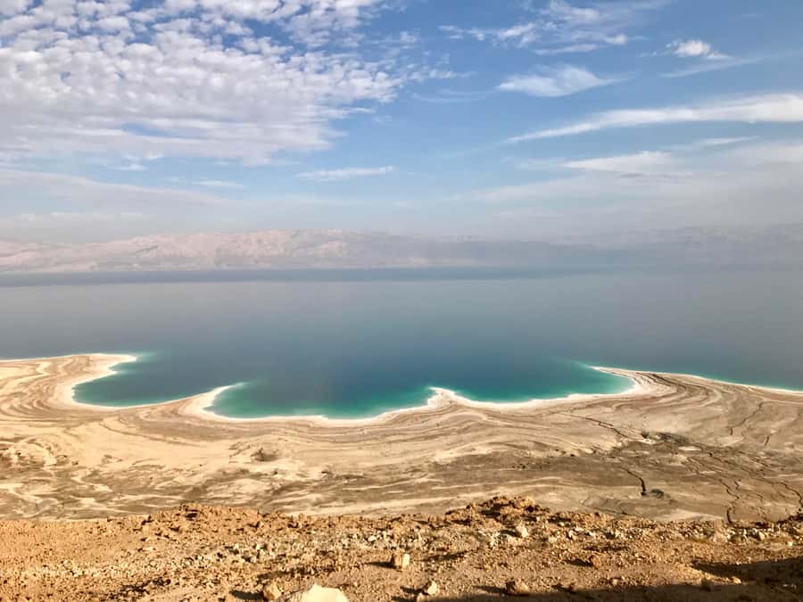 From Amman: Petra, Wadi Rum, and Dead Sea Private 2-Day Trip - What the private format buys you (and why the driver is a big deal)