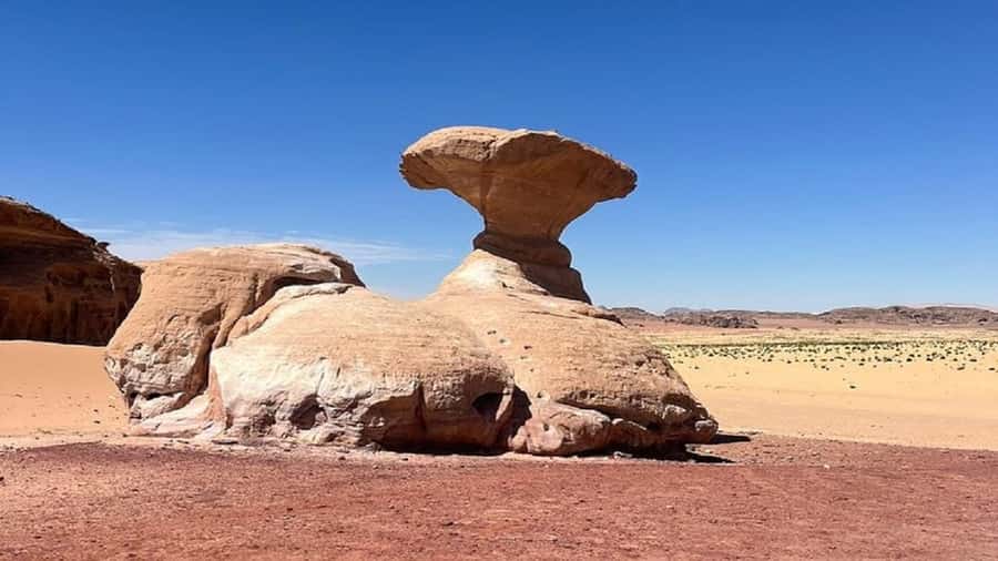 From Amman: Petra, Wadi Rum, and Dead Sea Private 2-Day Trip - Wadi Rum’s deluxe tent: what “camp” feels like when you have AC