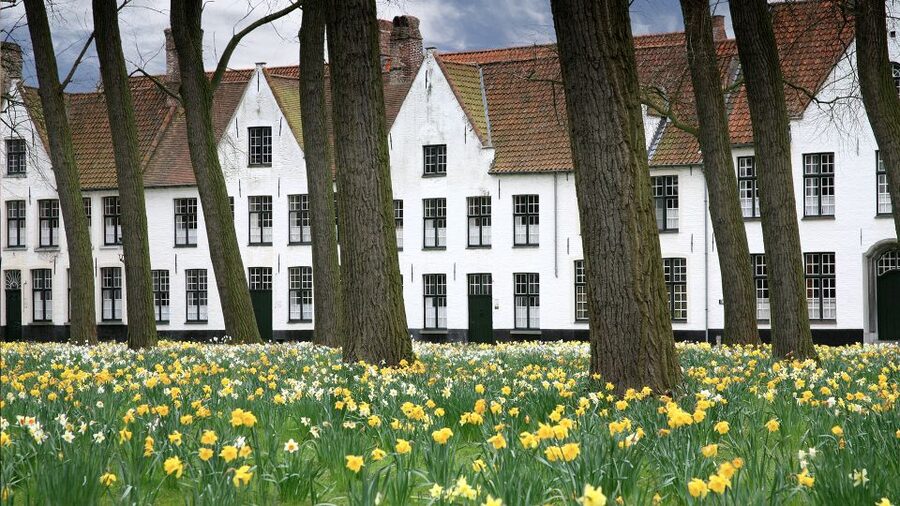 From Amsterdam: Bruges Day Trip in English with Boat Option - Gruuthuse Palace, Burg Square, and the Basilica of the Holy Blood