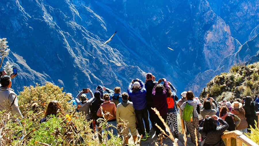 From Arequipa: Colca Canyon Day Trip with Transfer to Puno - Getting moving: the 3:00 a.m. Arequipa pickup and first breakfast