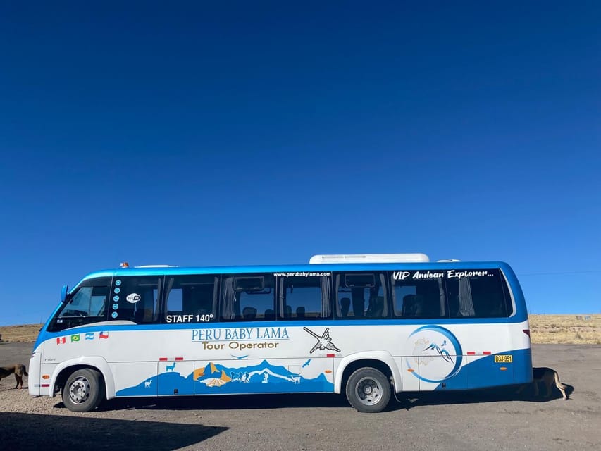 From Arequipa: Colca Canyon Day Trip with Transfer to Puno - Cruz del Cóndor: where the hike earns its views