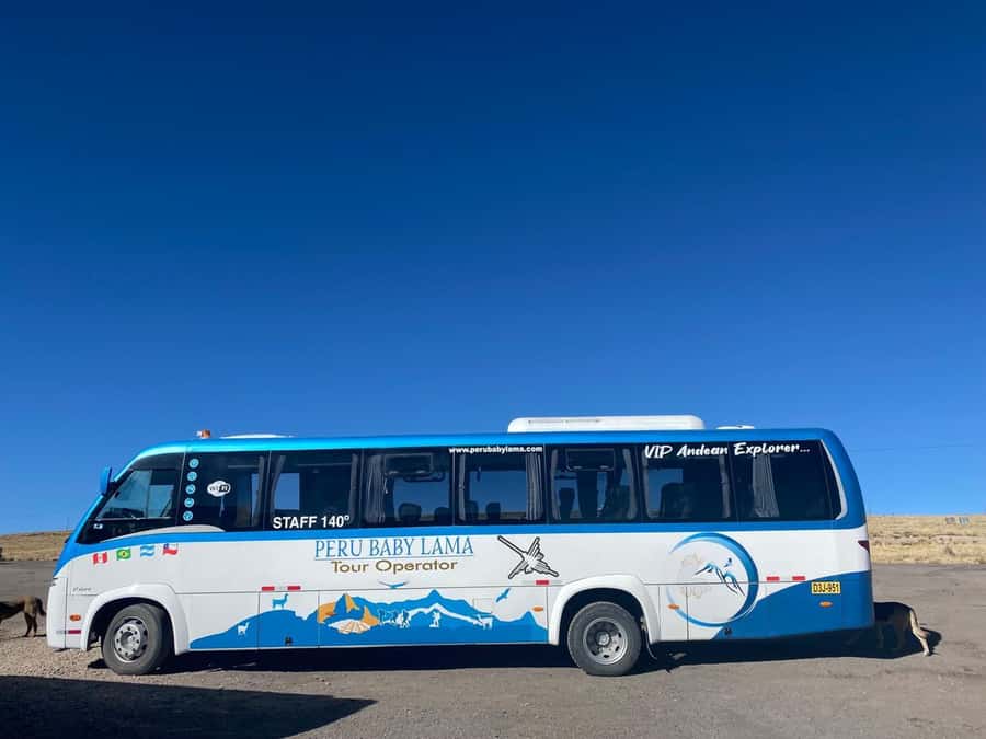 From Arequipa: Colca Canyon Day Trip with Transfer to Puno - Colca River photo stop and Maca/Caylloma market time