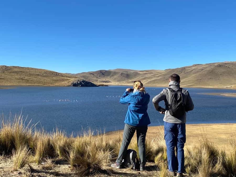 From Arequipa: Colca Canyon Day Trip with Transfer to Puno - Time on the road: comfort, pacing, and altitude realities