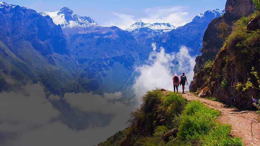 From Arequipa: Colca Canyon Day Trip with Transfer to Puno - The road to Colca: terraces, llamas, alpacas, and that sunrise pause
