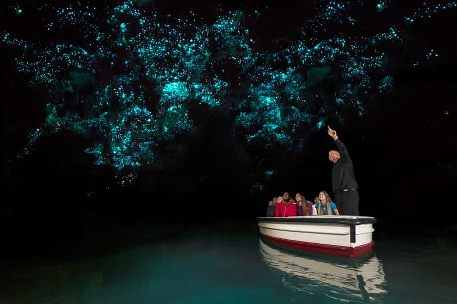 From Auckland: Hobbiton & Waitomo Caves Day Trip with Lunch - Waitomo Glowworm Caves: boat silence, Cathedral Cave acoustics, and the no-flash rule