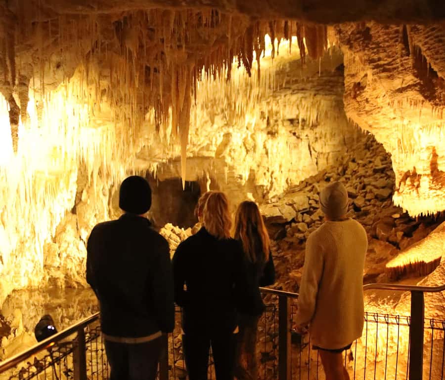 From Auckland: Hobbiton & Waitomo Caves Full-Day Trip - The Green Dragon Inn stop: included drink and a proper break
