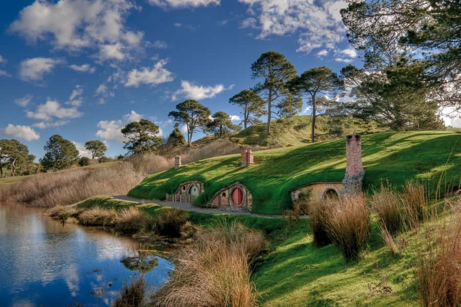 From Auckland: Hobbiton & Waitomo Caves Full-Day Trip - Price and what you get for $269 per person