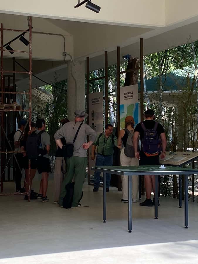 From Bacalar: Calakmul Ruins Expedition & Jungle Trek - Should you book this Calakmul expedition from Bacalar?