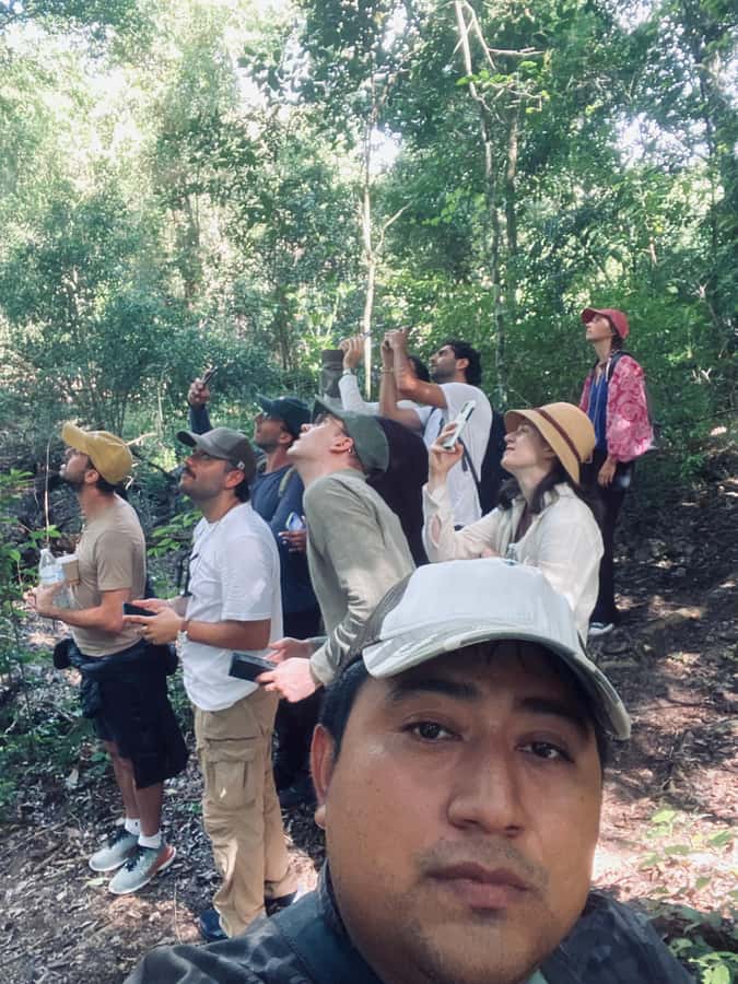 From Bacalar: Calakmul Ruins Expedition & Jungle Trek - Calakmul’s Mayan city in a UNESCO biosphere: why this day hits different