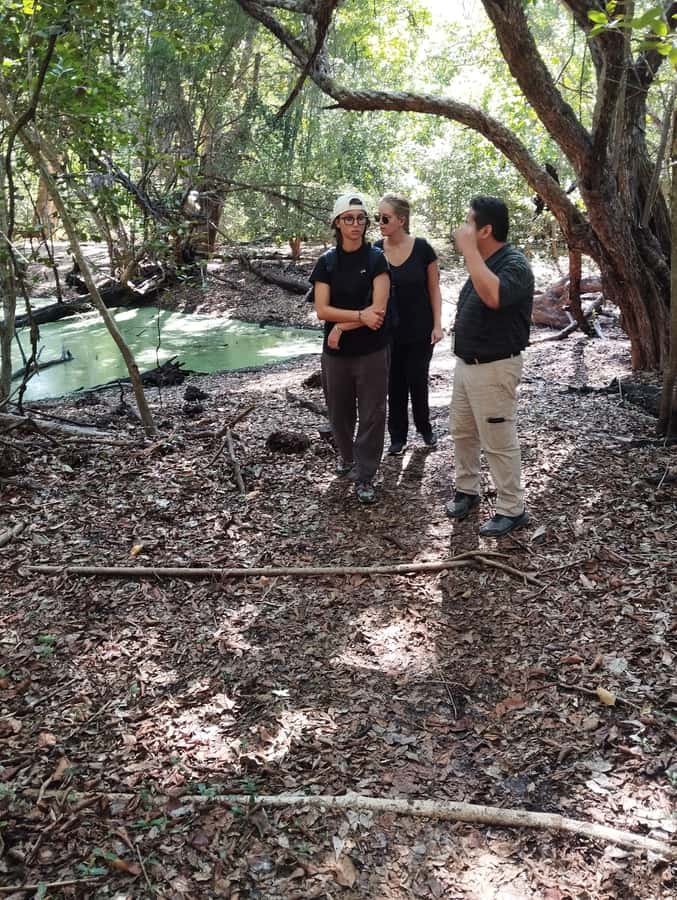 From Bacalar: Calakmul Ruins Expedition & Jungle Trek - Calakmul ruins with a real climb: Structure II, astronomy, and meaning