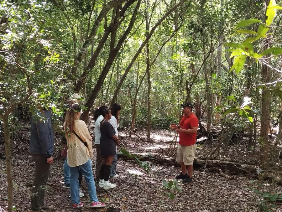 From Bacalar: Calakmul Ruins Expedition & Jungle Trek - Who this tour fits best (and who should skip it)