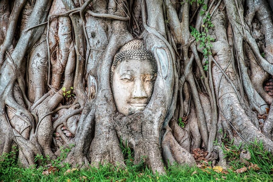 From Bangkok: Ayutthaya & Ayothaya Floating Market Day Trip - Key Highlights That Make This Day Trip Worth It