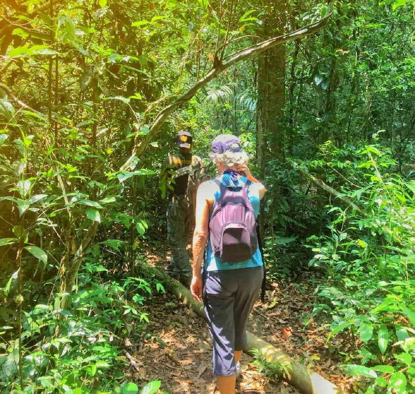 From Bangkok: Khao Yai National Park Small-Group Day Trip - The 3-Hour Drive: Why It Matters for Wildlife